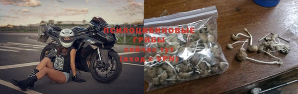ПСИЛОЦИБИНОВЫЕ ГРИБЫ Алексин