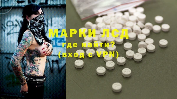 ПСИЛОЦИБИНОВЫЕ ГРИБЫ Алексин