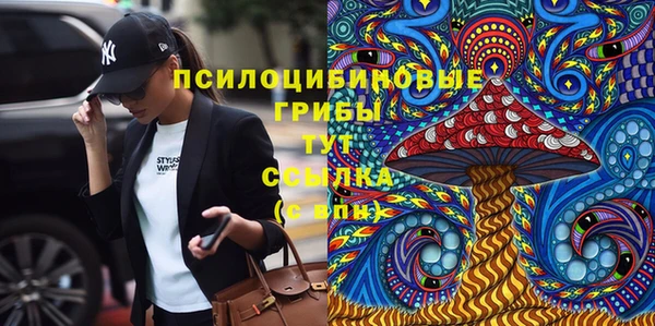 ПСИЛОЦИБИНОВЫЕ ГРИБЫ Алексин