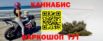 стафф Донской