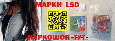 стафф Донской