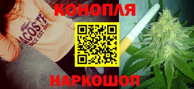 стафф Донской