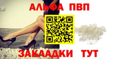стафф Донской