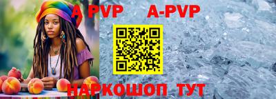 стафф Донской